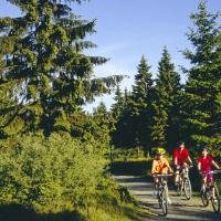 Fietsers